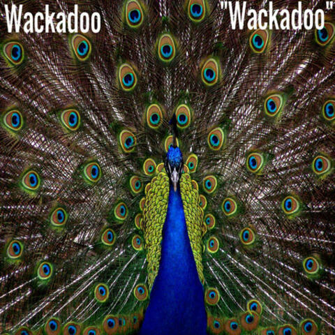 Wackadoo