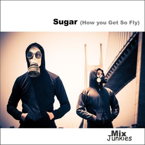 Sugar (How You Get So Fly)