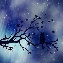 Drifting Stars
