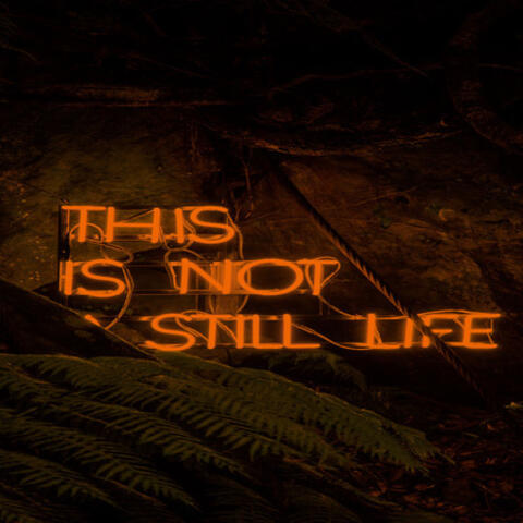 Orange Justice