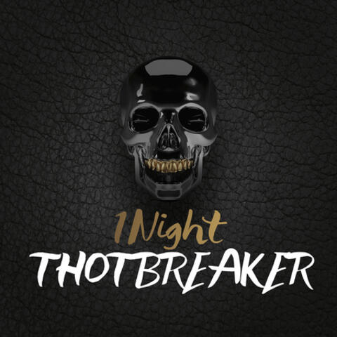 1Night