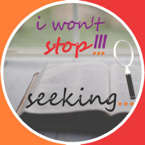 I Won't Stop Seeking