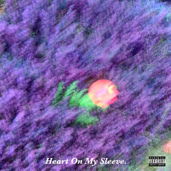 Heart on My Sleeve