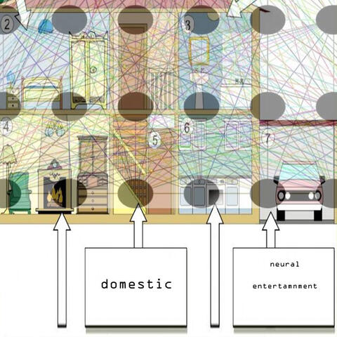 Domestic