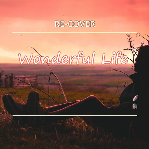 Wonderful Life (Unplugged)