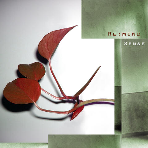 Re:mind - Sense