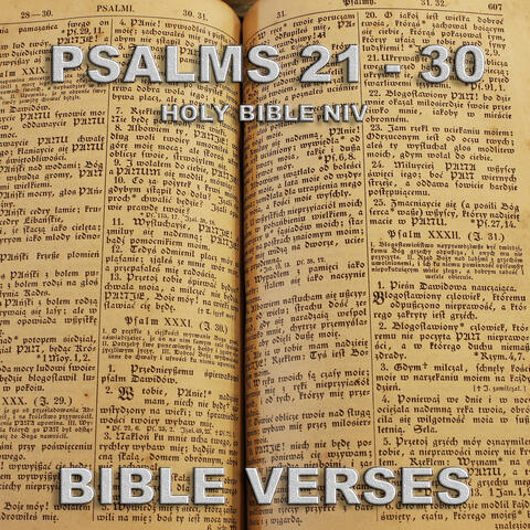 Bible Verses