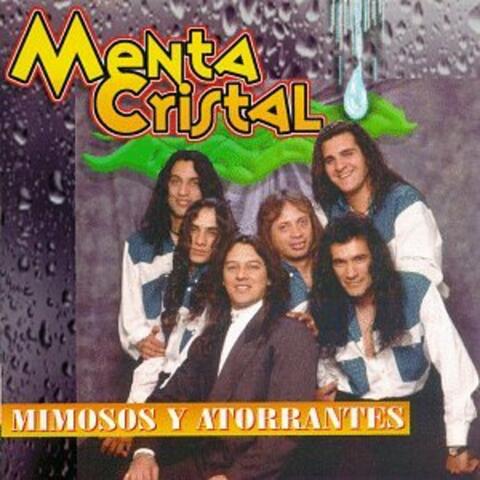 Menta Cristal