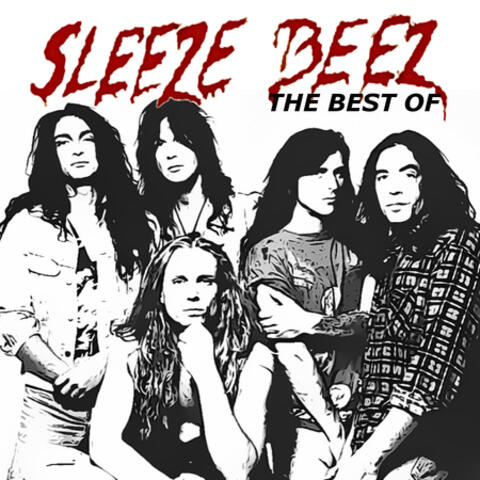 The Best Of Sleeze Beez