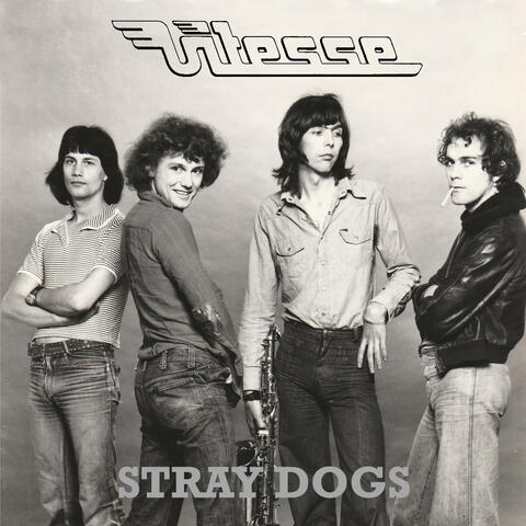 Stray Dogs