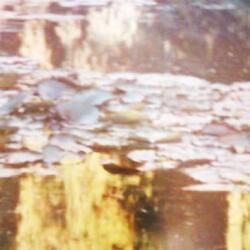 Drift in Reason