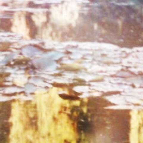 Tapestry of Time and Terrain / Pleasure Cruise