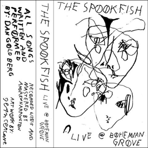 Live at Bohemian Grove