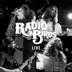 Gamble on the Horses (Live at Buckhead Theatre)
