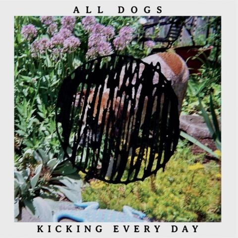 Kicking Every Day