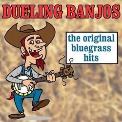 Banjo Twist