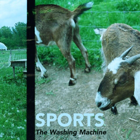 The Washing Machine