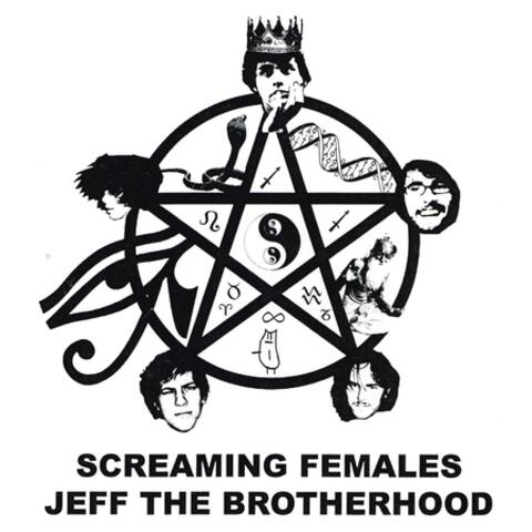 JEFF the Brotherhood / Screaming Females Split