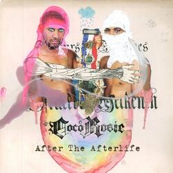 After the Afterlife