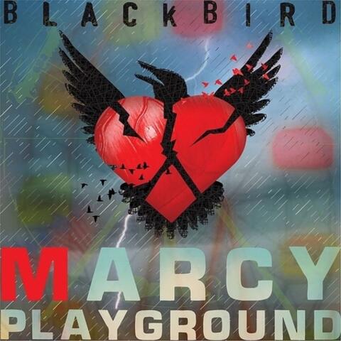 Blackbird