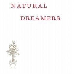 Professional Dreamer