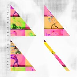 Needle