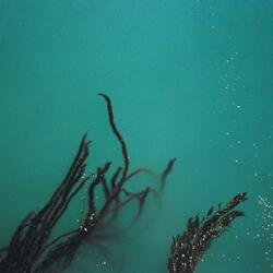 Untitled 4