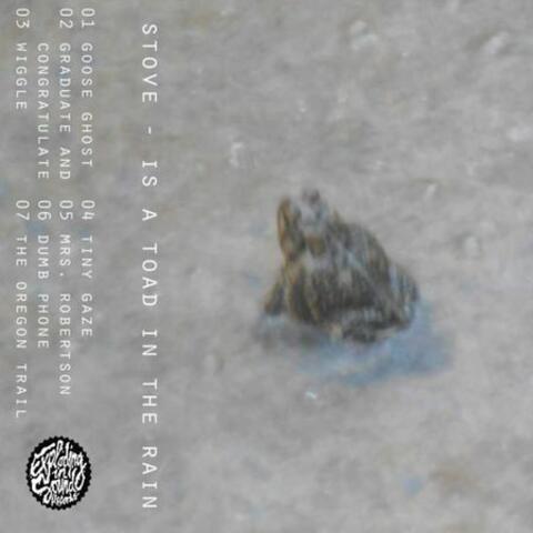 Is a Toad in the Rain