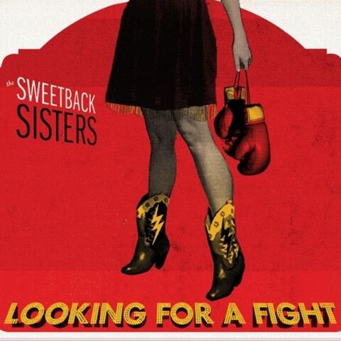 Looking for a Fight