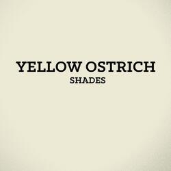 Shades