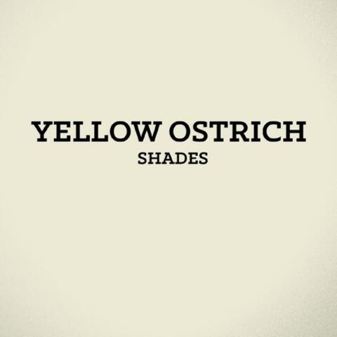 Shades