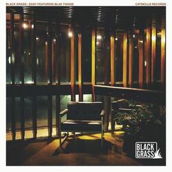 Easy (Radio Mix) [feat. Blak Twang]