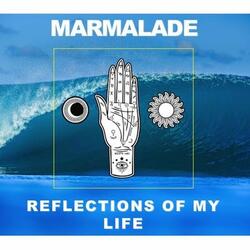 Reflections of My Life