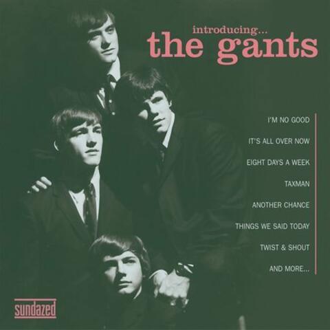 Introducing... The Gants