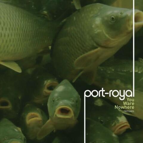 You Ware Nowhere [Remixes]