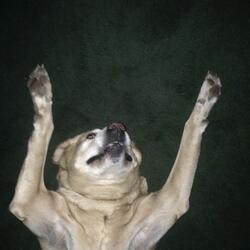 Numb and Cold, No Shame No Guilt