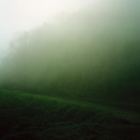 Harsh and Stubborn That River Bends, Dark and Shrewd, No Light It Lends