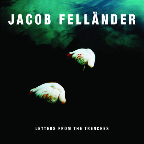 Letters From the Trenches