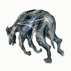 Black Dog