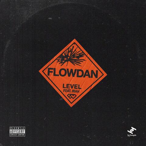 Level