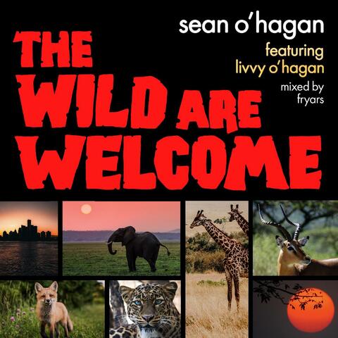 The Wild Are Welcome