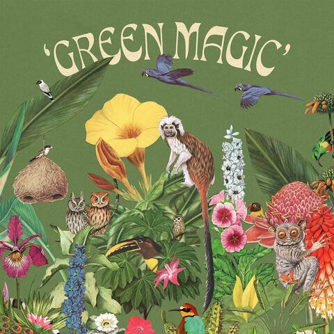Green Magic