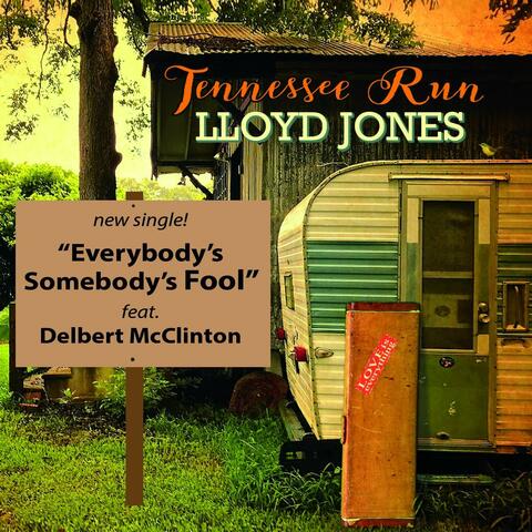 Everybody's Somebody's Fool