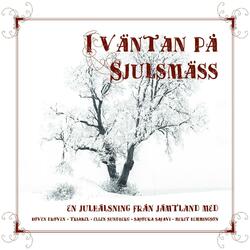 En Julsaga (Fairytale of New York)