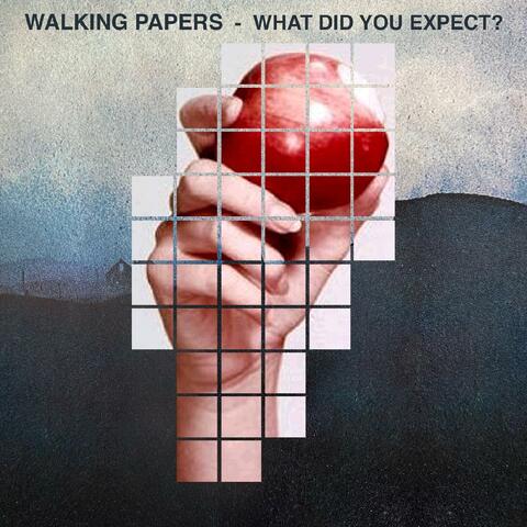 What Did You Expect?