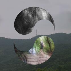 Split and Tear