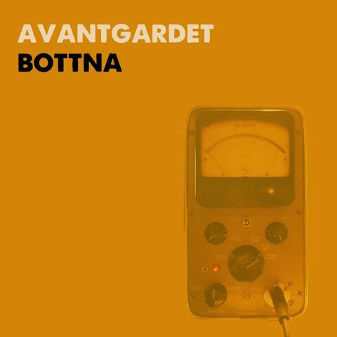 Bottna