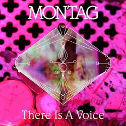 There Is a Voice Audio Documentary