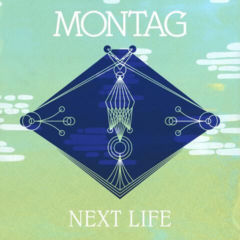 Next Life b/w Trip the Light Fantastic (Memory Tapes Remix)