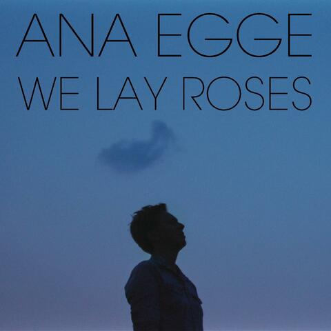 We Lay Roses